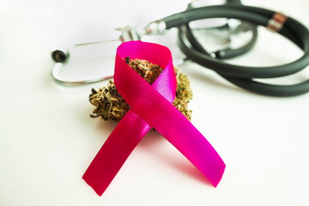 Why Cannabis Is an Adjunct Therapy for Cancer